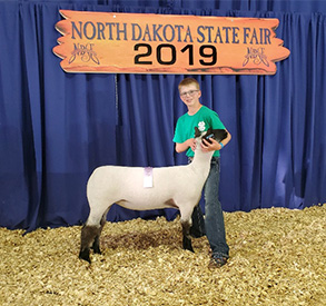 Hays Show Lambs Winners