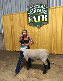 Hays Show Lambs Winners
