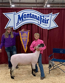Hays Show Lambs Winners