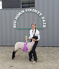 Hays Show Lambs Winners