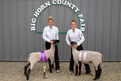 Hays Show Lambs Winners