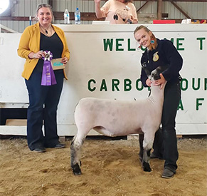 Hays Show Lambs Winners