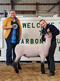 Hays Show Lambs Winners