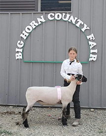 Hays Show Lambs Winners