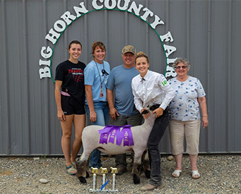 Hays Show Lambs Winners