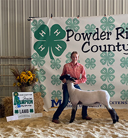 Hays Show Lambs Winners