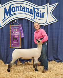 Hays Show Lambs Winners