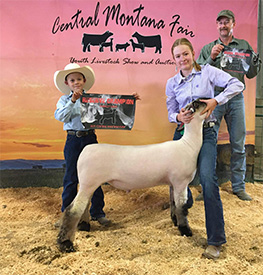 Hayes Show Lambs Winners